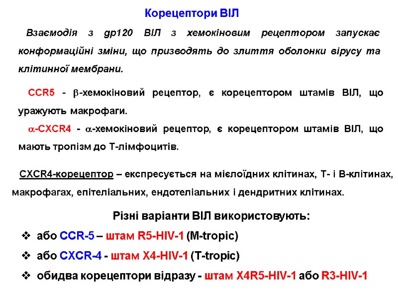 CCR5 - -хемокіновий рецептор, є корецептором штамів ВІЛ, що уражують макрофаги. -CXCR4 - -хемокіновий